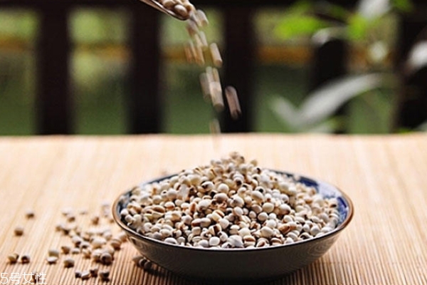 真假薏米的区别图片大全,薏米怎么辨别真假