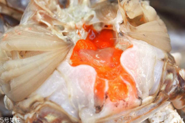 大闸蟹母蟹和公蟹的区别,大闸蟹怎么区分公蟹和母蟹