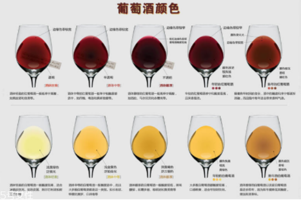 红酒颜色怎么看,红酒怎么识别