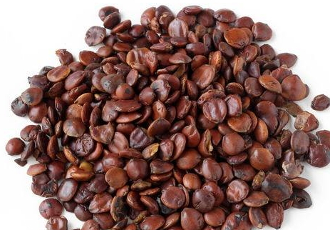 酸枣仁吃多了会怎么样?,酸枣仁吃多了有副作用吗