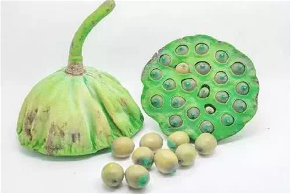 莲子的吃法(莲子的吃法和做法) 莲子的吃法(莲子的吃法和做法)