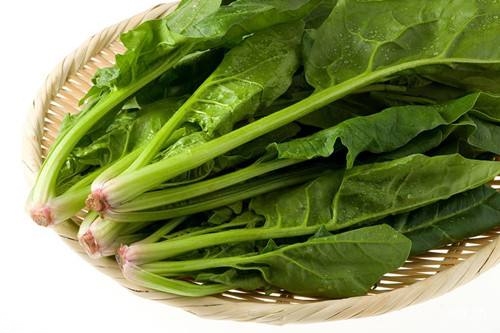 来大姨妈吃菠菜好不好,来姨妈吃菠菜好吗