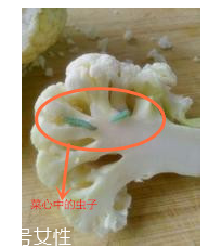 花菜的正确清洗方法,花菜的正确洗法