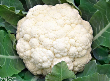 菜花怎样储存,菜花储藏四种常用存放方法