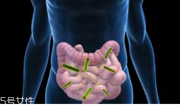 最近总排臭气是什么原因,排的气特别臭是什么原因 最近总排臭气是什么原因,排的气特别臭是什么原因