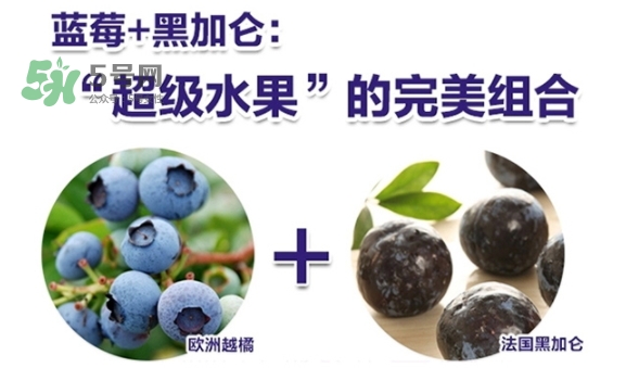 pola蓝莓护眼丸怎么样,pola蓝莓护眼丸
