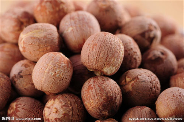 莲子属于什么食物(莲子属于什么食物)