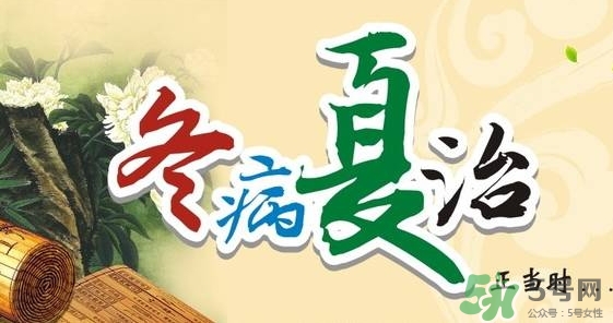 三伏灸灸多久,三伏灸的时间表