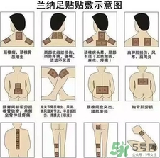 兰纳足贴使用方法,兰纳足贴使用方法图