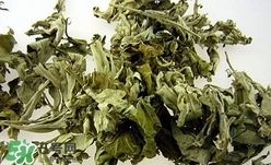 艾叶驱蚊子吗,艾叶可以驱蚊吗