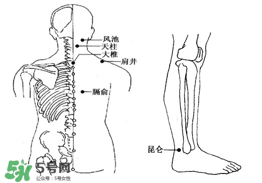 颈椎病刮痧位置和图片,颈椎刮痧图片大全真实