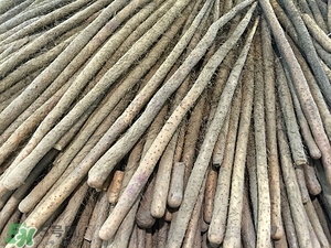 铁棍山药有什么营养价值,铁棍山药的营养成分表