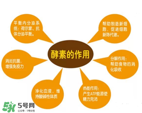 喝酵素拉肚子的原因,酵素拉肚子吗