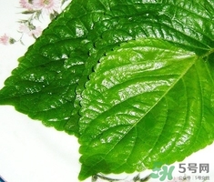 关于泡脚的知识给我讲讲吧,关于泡脚的知识