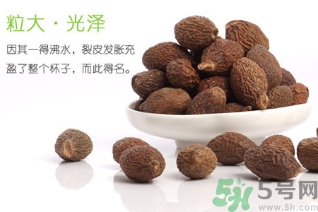 胖大海的作用和功效,胖大海的作用有哪些