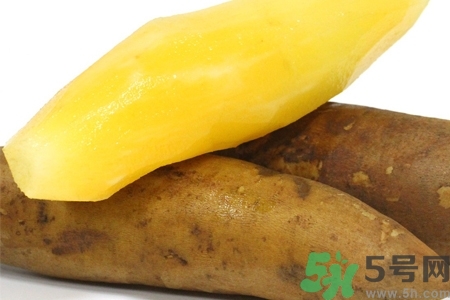 云南高山雪莲果功用,天山雪莲果多少钱一斤