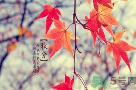 如何缓解秋燥引发的各种不适,如何预防秋燥