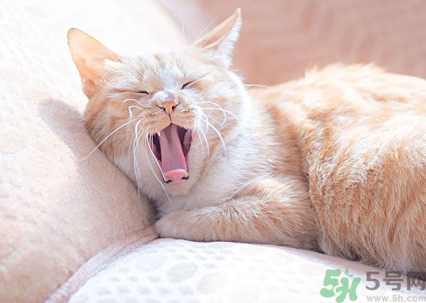 科学怎么解释,科学解释是什么