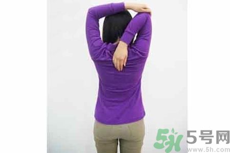 腰颈肩运动健身操,腰肩健身操