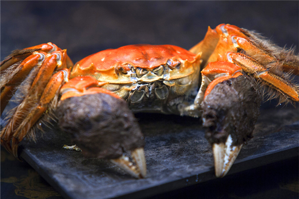 螃蟹什么时候黄多,螃蟹什么时候蟹黄最多 螃蟹什么时候黄多,螃蟹什么时候蟹黄最多
