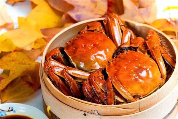 螃蟹买公蟹还是母蟹,怎么分辨螃蟹是公是母