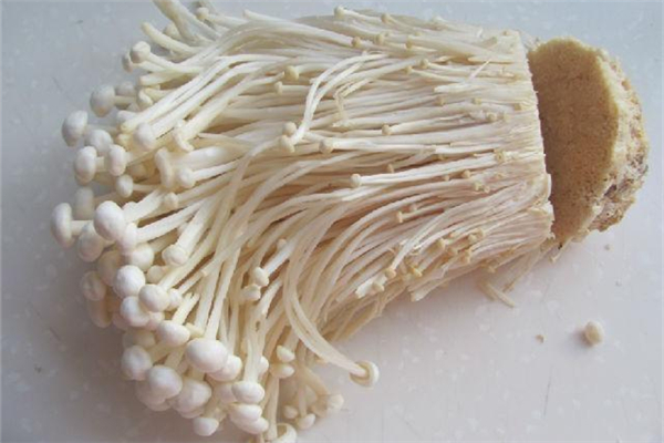 金针菇煮不熟有毒吗,金针菇煮不熟会不会中毒