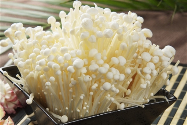 金针菇适合减肥吗,减肥吃金针菇可以吃吗