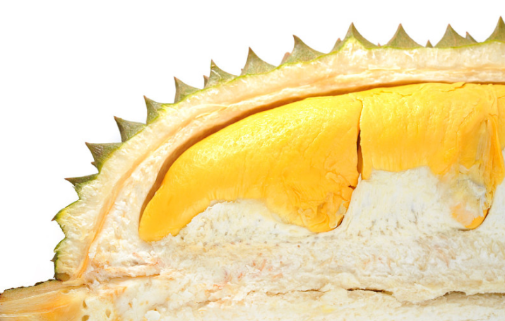 榴莲吃多了会流鼻血吗?,吃榴莲吃多了为什么会流鼻血?