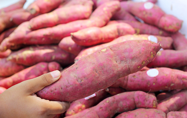 一日三餐都吃红薯可以减肥吗,一天三顿吃红薯减肥吗?
