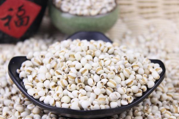 薏米和什么搭配减肥效果好,薏米和什么一起煮减肥