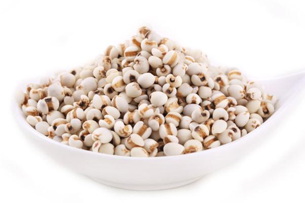 薏米会回奶吗?,薏米会不会回奶 薏米会回奶吗?,薏米会不会回奶