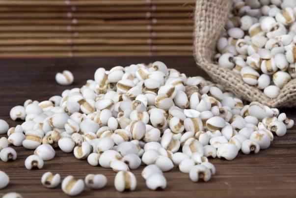 薏米要泡多久才能煮饭,薏米一天吃多少合适
