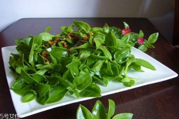 穿心莲应该怎么吃呢(穿心莲如何吃)