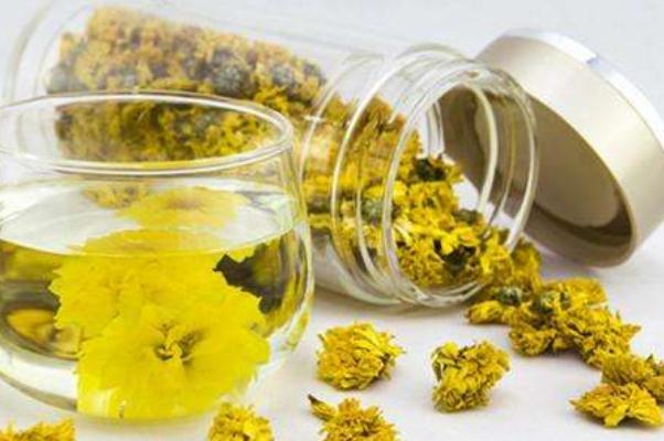 菊花茶可以长期喝吗?,长期喝菊花茶有什么好处和坏处 菊花茶可以长期喝吗?,长期喝菊花茶有什么好处和坏处