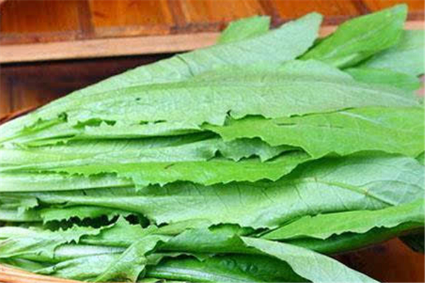 油麦菜上火还是降火,油麦菜上火还是下火