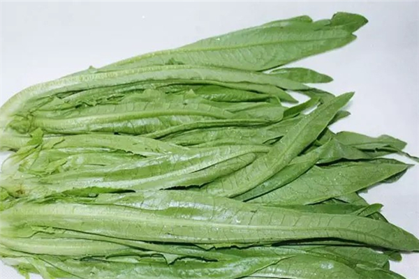 油麦菜哪种好吃,油麦菜好吃吗