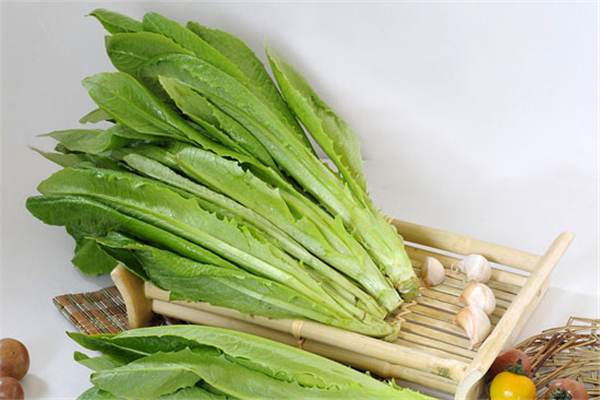 油麦菜生吃好还是熟吃好,油麦菜生吃和煮熟哪个更有营养