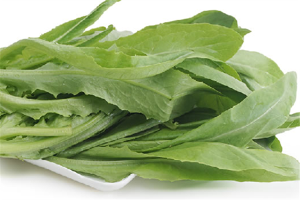 油麦菜发苦能吃吗,油麦菜发苦还能吃吗