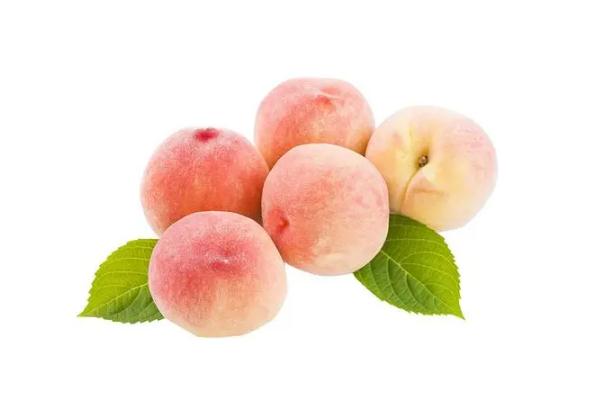 桃子要去皮去吃吗,桃子要不要削皮吃