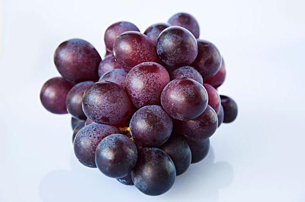 巨峰葡萄如何保存时间长一点,巨峰葡萄怎样保存到冬季 巨峰葡萄如何保存时间长一点,巨峰葡萄怎样保存到冬季