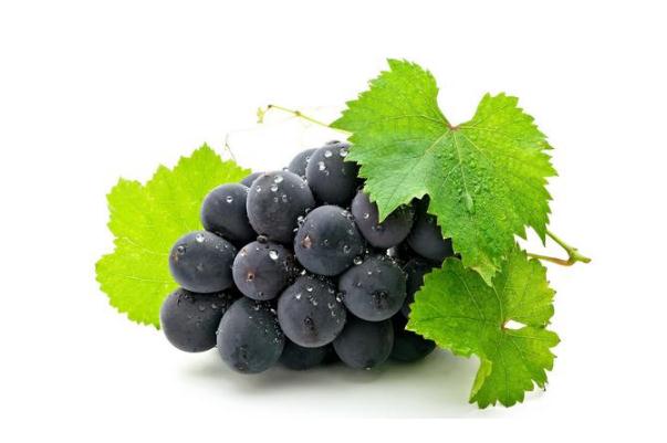 巨峰葡萄为什么叫巨峰葡萄,巨峰葡萄为啥叫巨峰