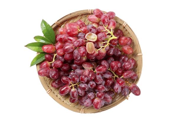 红提籽功效和作用,红提有籽吗?