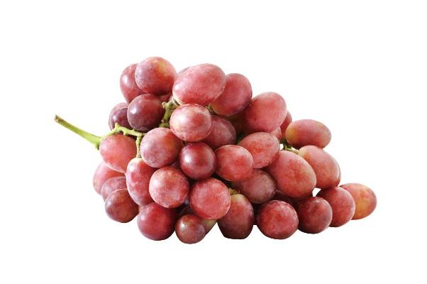 红提的功效和作用,红提有什么功效