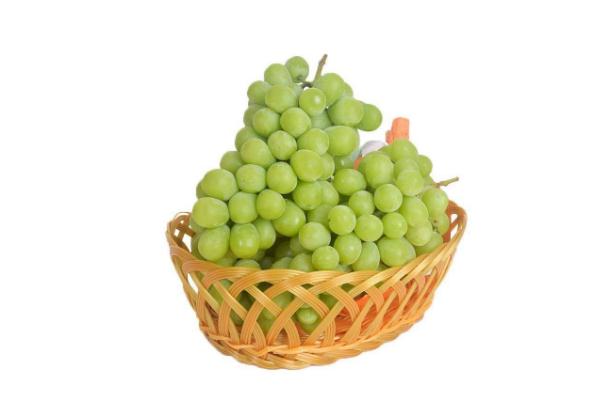 吃青提会发胖吗,吃青提会不会长胖