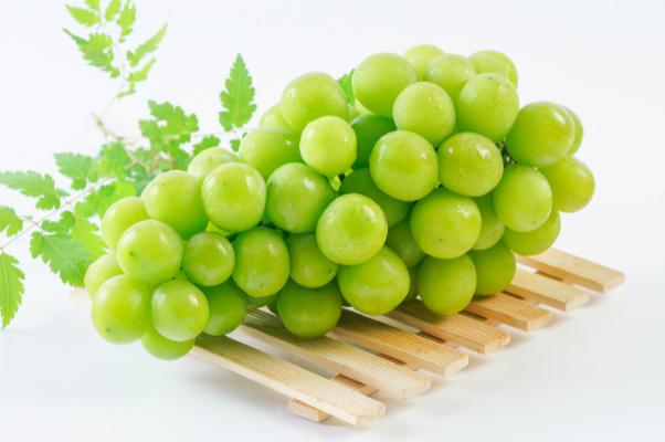 青提的皮可以吃吗,青提要剥皮吃吗