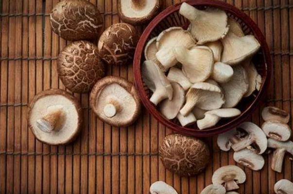 香菇对胃病有好处吗,香菇对胃好吗?胃病可以吃香菇吗 香菇对胃病有好处吗,香菇对胃好吗?胃病可以吃香菇吗
