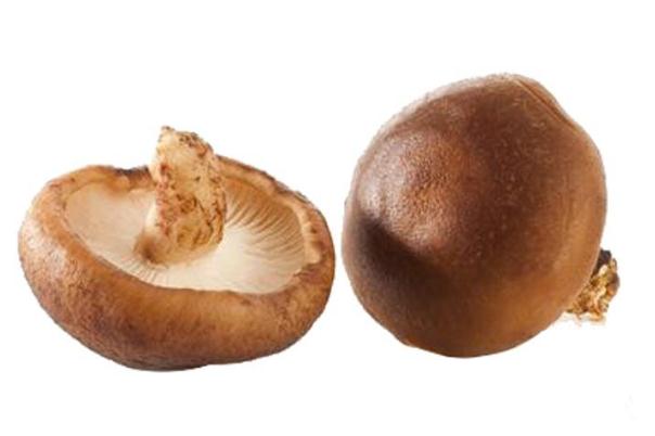 香菇过敏怎么办才最有效,香菇过敏症状怎么处理