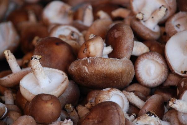 怎么泡发干香菇好,香菇如何泡发更好?