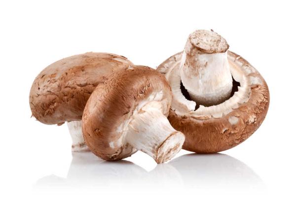 吃香菇过敏是什么原因,吃香菇过敏是什么症状 吃香菇过敏是什么原因,吃香菇过敏是什么症状