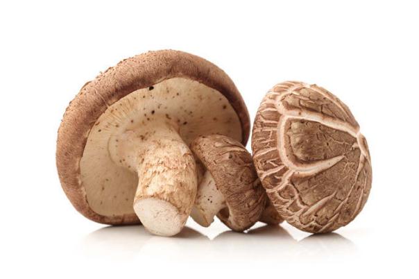 香菇的营养价值是什么?,香菇的营养价值是什么的短视频